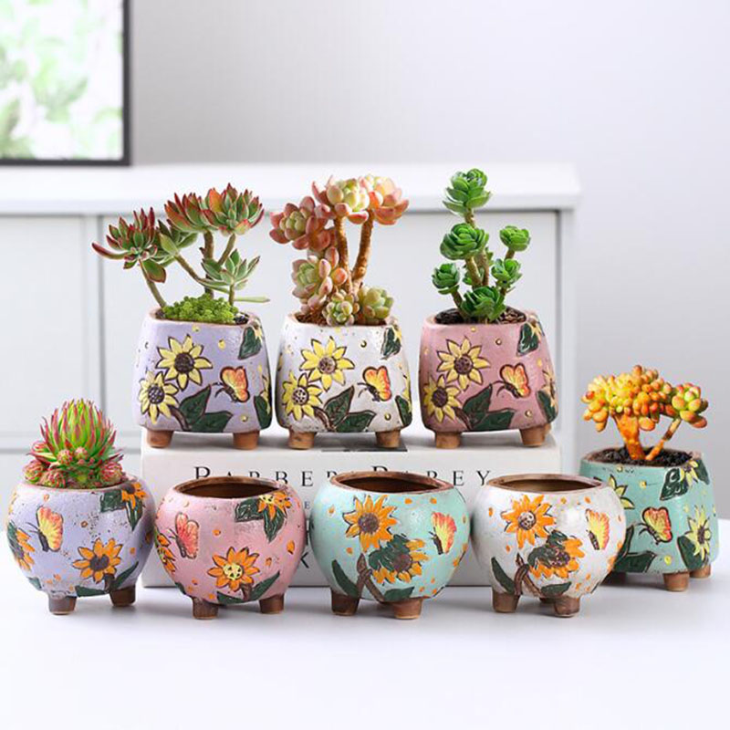 Echeveria Succulent - Koreanischen Stil Sonnenblumen Muster Sukkulenten Topf
