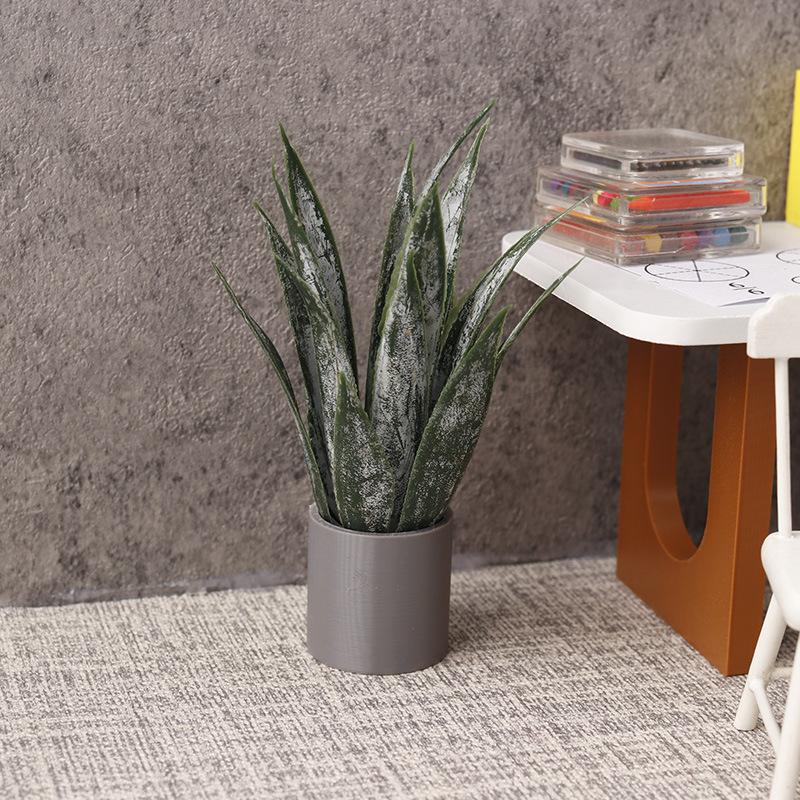 Miniatur-Aloe-Vera-Topfpflanze – Aloe Vera Pot Bewertung und Preis