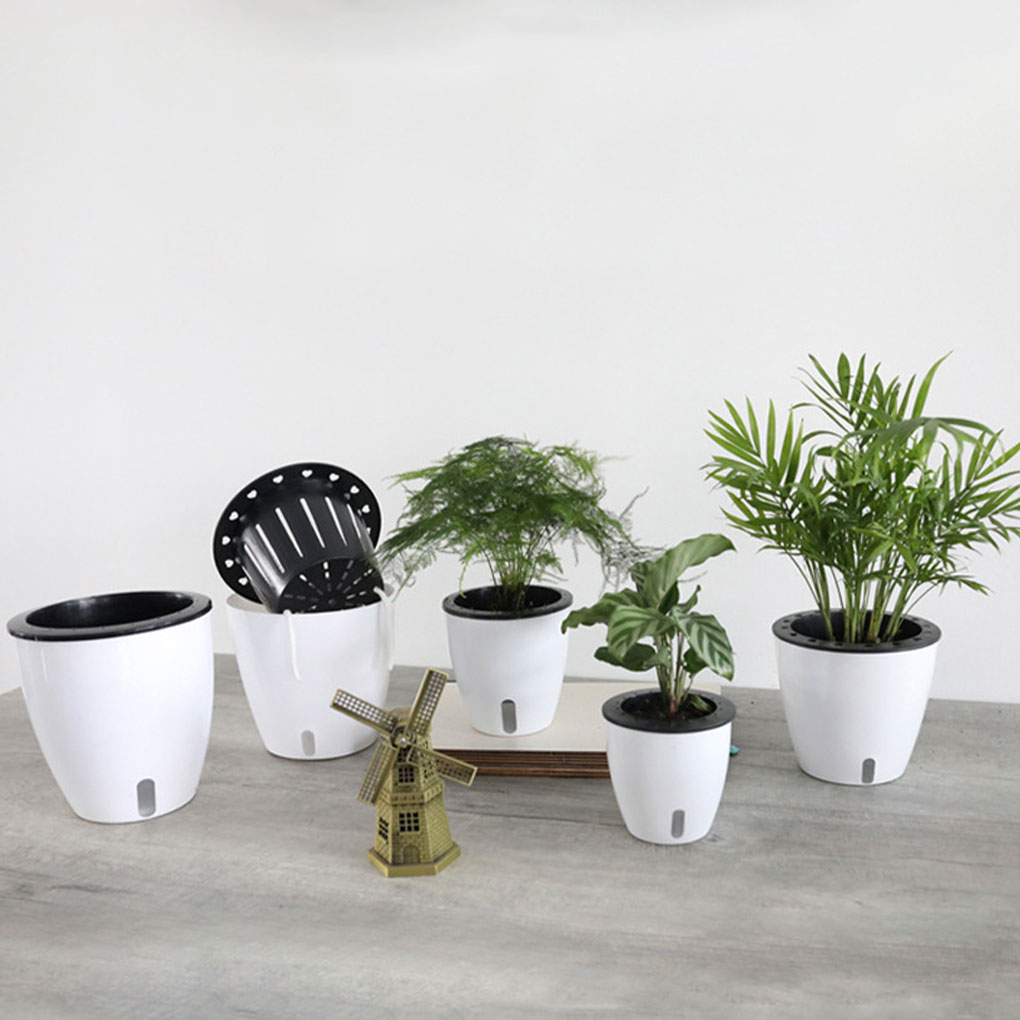 Weiße tragbare und umweltfreun – Aloe Vera Pot Bewertung und Preis