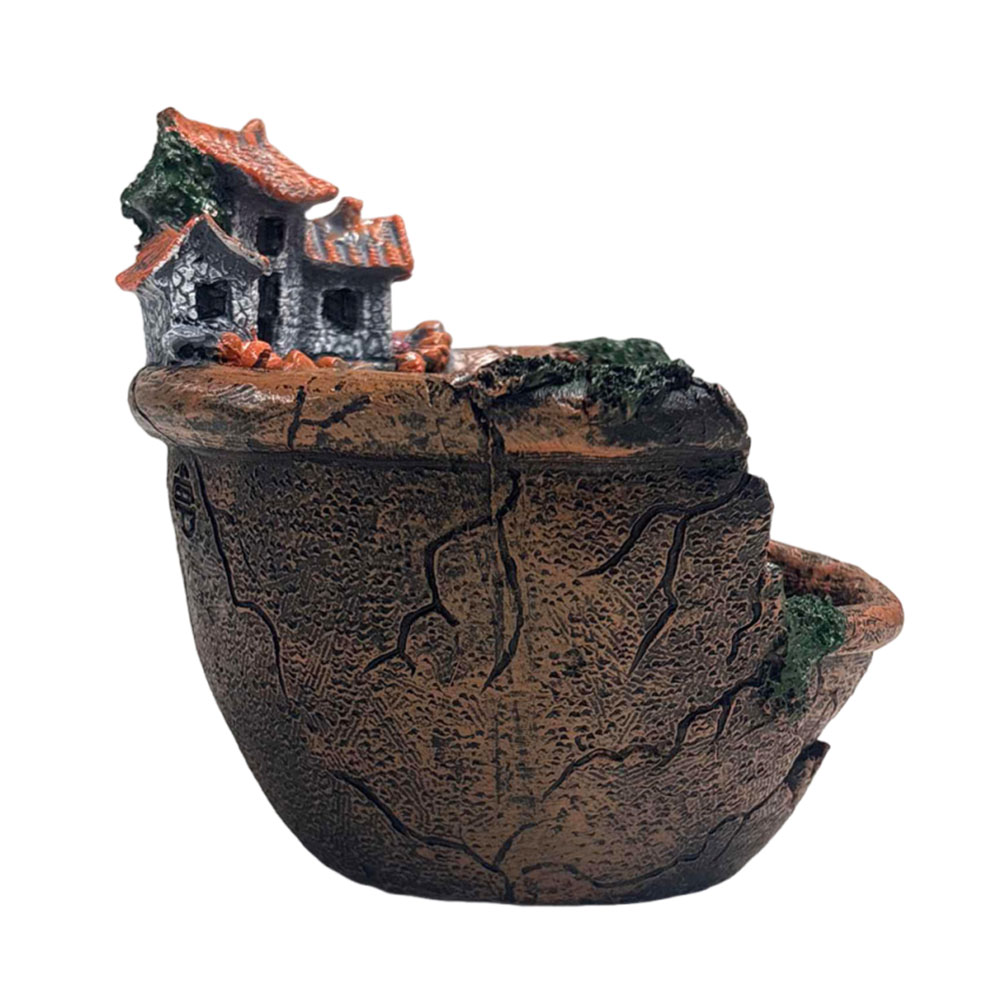 Sukkulenten-Topf im Vintage-St – Echeveria Succulent Bewertung und Preis