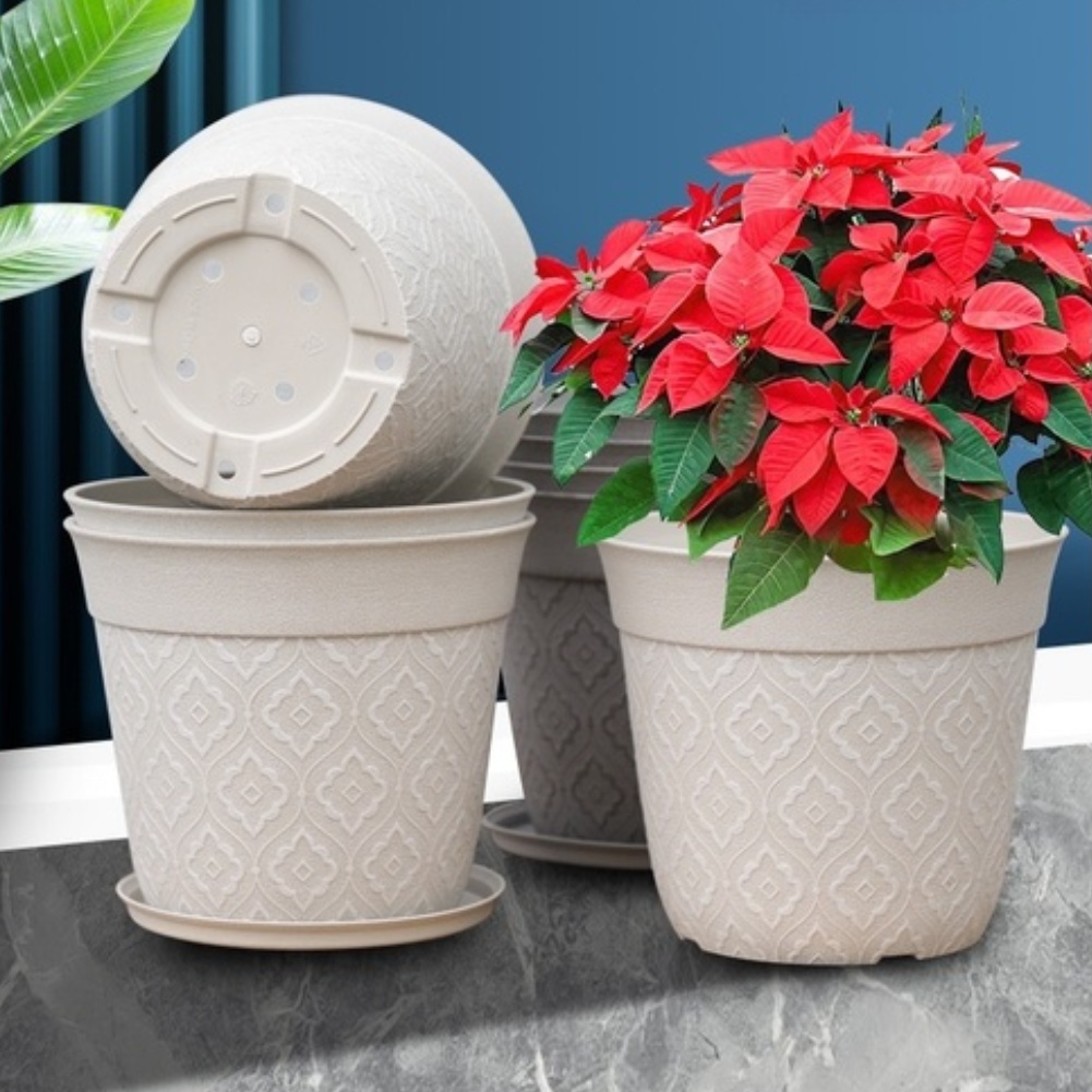 8-Zoll-Kunststoff-Blumentopf m – Aloe Vera Pot Bewertung und Preis