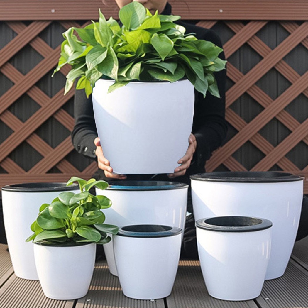 Automatische Bewässerung Blume – Aloe Vera Pot Bewertung und Preis