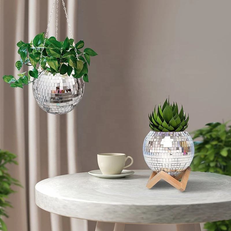 Disco-Spiegelkugel Hängender B – Echeveria Succulent Bewertung und Preis
