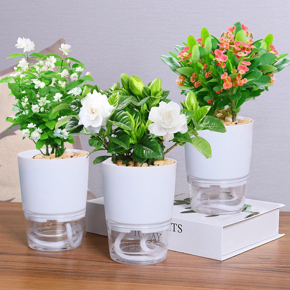 Selbstbewässernder Kunststoff- – Aloe Vera Pot Bewertung und Preis